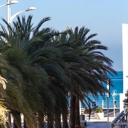아파트 A 50 Metros De La Playa, Luminoso Y Acogedor 올리바